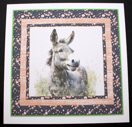The happy donkey card front 2 by Marion Kimberley-Scott