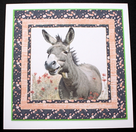 The happy donkey card front 3 by Marion Kimberley-Scott