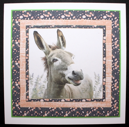 The happy donkey card front 4 by Marion Kimberley-Scott