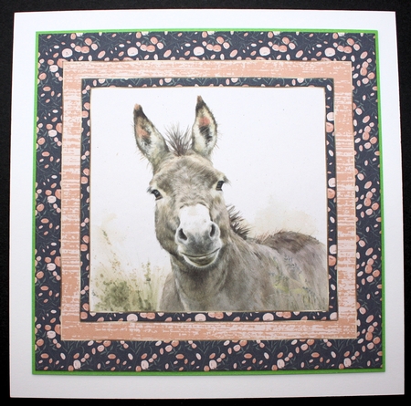 The happy donkey card front 5 by Marion Kimberley-Scott