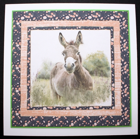 The happy donkey card front 6 by Marion Kimberley-Scott