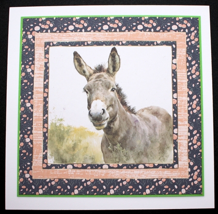 The happy donkey card front 7 by Marion Kimberley-Scott