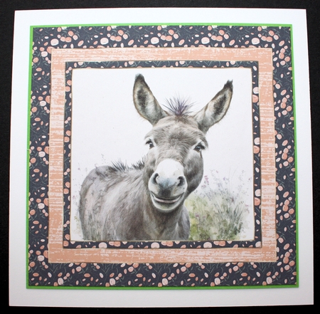 The happy donkey card front 8 by Marion Kimberley-Scott