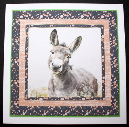 The happy donkey card front 9 by Marion Kimberley-Scott