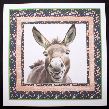 The happy donkey card front 10 by Marion Kimberley-Scott