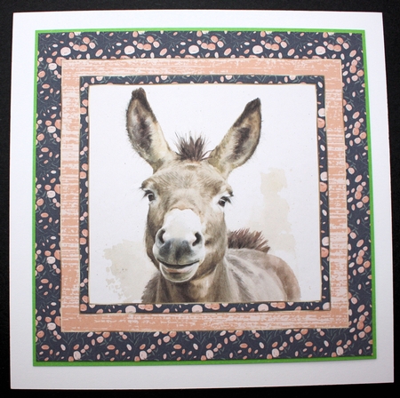 The happy donkey card front 11 by Marion Kimberley-Scott