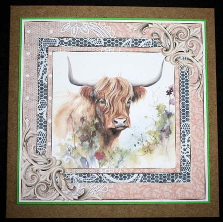 Lace framed hedgerow Highland cow card front 1 by Marion Kimberley-Scott