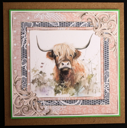 Lace framed hedgerow Highland cow card front 2 by Marion Kimberley-Scott
