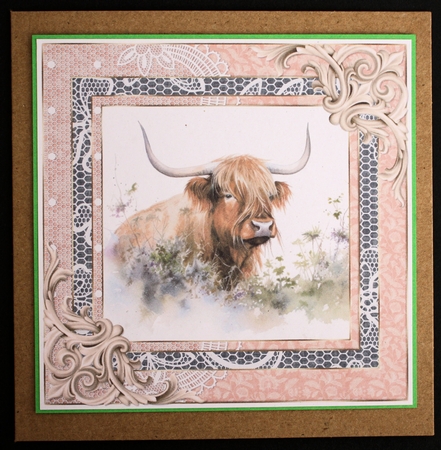 Lace framed hedgerow Highland cow card front 3 by Marion Kimberley-Scott