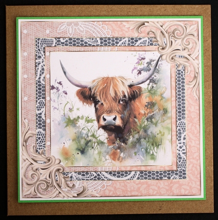 Lace framed hedgerow Highland cow card front 4 by Marion Kimberley-Scott