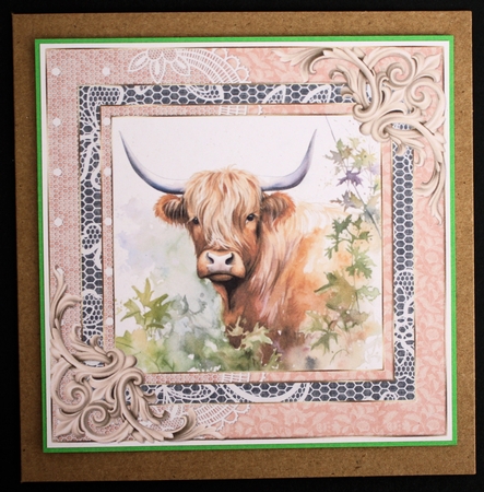 Lace framed hedgerow Highland cow card front 5 by Marion Kimberley-Scott