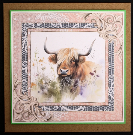 Lace framed hedgerow Highland cow card front 6 by Marion Kimberley-Scott