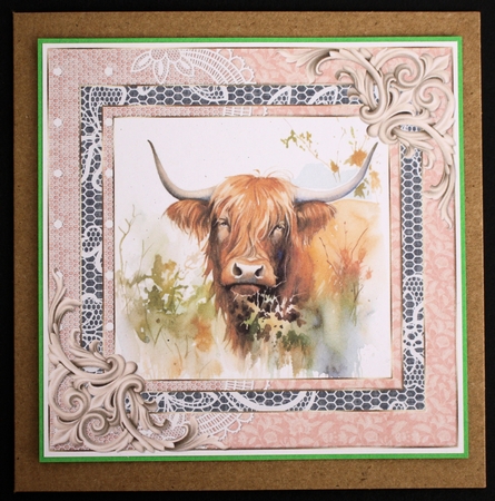 Lace framed hedgerow Highland cow card front 7 by Marion Kimberley-Scott