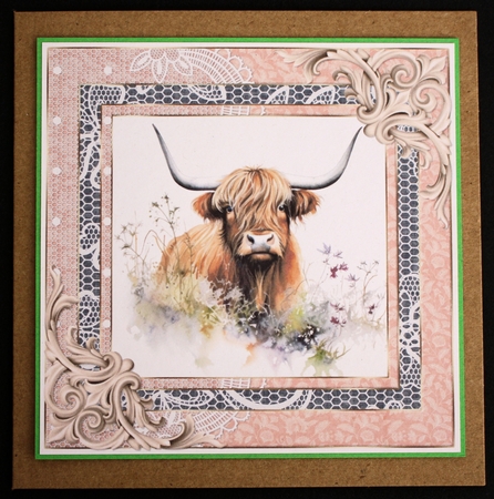 Lace framed hedgerow Highland cow card front 8 by Marion Kimberley-Scott