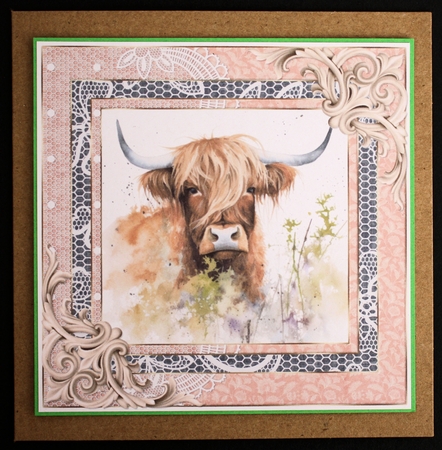 Lace framed hedgerow Highland cow card front 9 by Marion Kimberley-Scott
