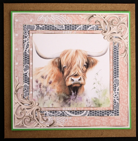 Lace framed hedgerow Highland cow card front 10 by Marion Kimberley-Scott
