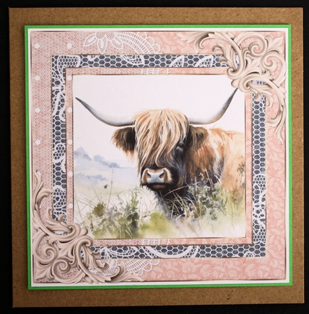 Lace framed hedgerow Highland cow card front 11 by Marion Kimberley-Scott