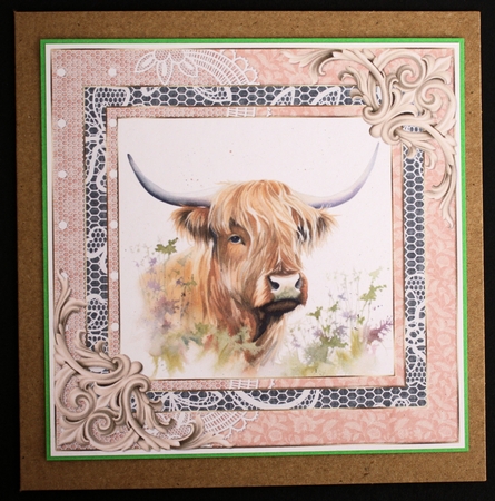 Lace framed hedgerow Highland cow card front 12 by Marion Kimberley-Scott