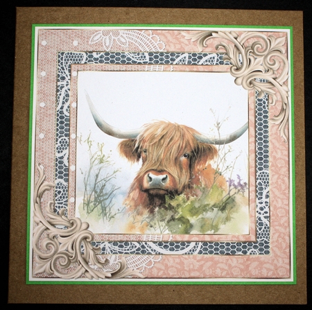 Lace framed hedgerow Highland cow card front 13 by Marion Kimberley-Scott