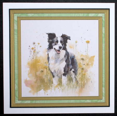 Meadow Collie card front 6 by Marion Kimberley-Scott