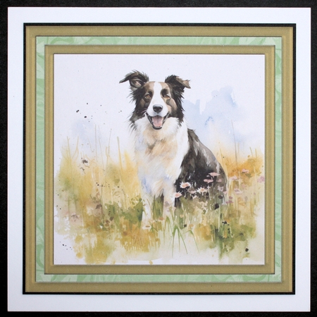 Meadow Collie card front 7 by Marion Kimberley-Scott