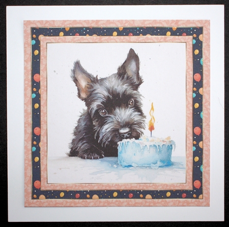 Framed Scottish terrier Birthday Card front 2 by Marion Kimberley-Scott
