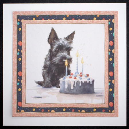 Framed Scottish terrier Birthday Card front 3 by Marion Kimberley-Scott