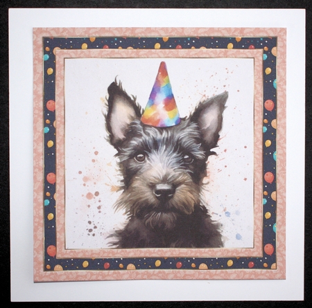 Framed Scottish terrier Birthday Card front 4 by Marion Kimberley-Scott