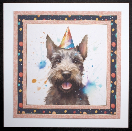 Framed Scottish terrier Birthday Card front 5 by Marion Kimberley-Scott