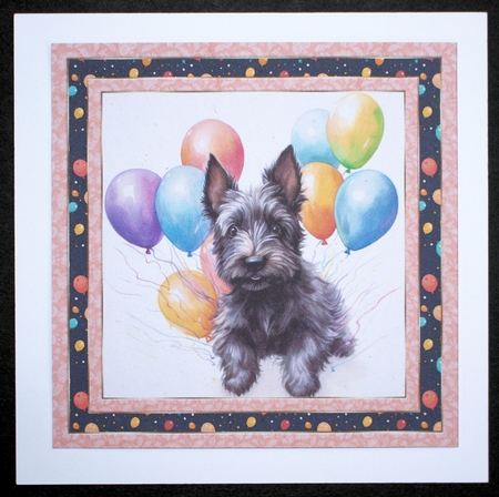 Framed Scottish terrier Birthday Card front 13 by Marion Kimberley-Scott