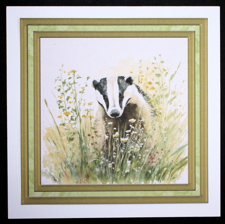 Floral badger card front 4 by Marion Kimberley-Scott
