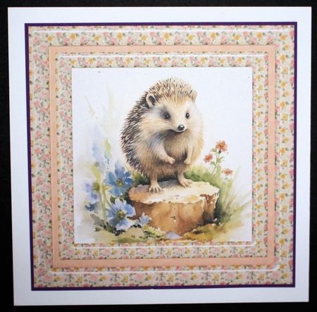 Hedgehog card front 7 by Marion Kimberley-Scott