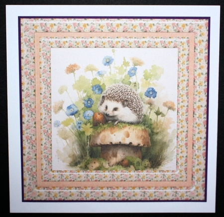 Hedgehog card front 8 by Marion Kimberley-Scott