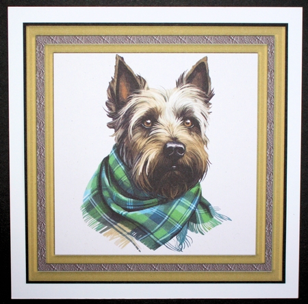 Tartan scarf Scottish terrier card front 1 by Marion Kimberley-Scott