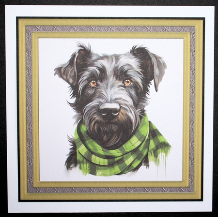 Tartan scarf Scottish terrier card front 2 by Marion Kimberley-Scott