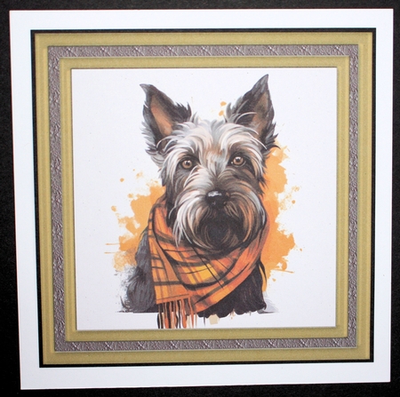 Tartan scarf Scottish terrier card front 3 by Marion Kimberley-Scott