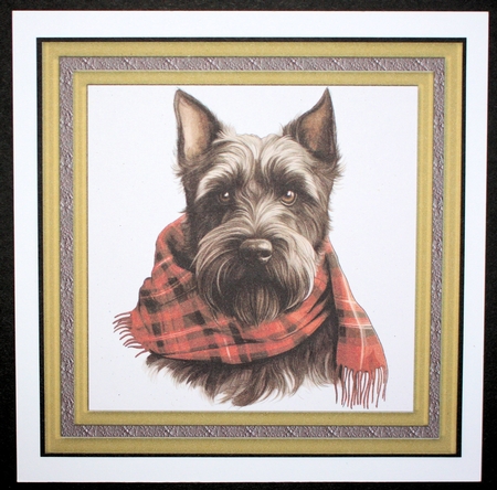 Tartan scarf Scottish terrier card front 5 by Marion Kimberley-Scott