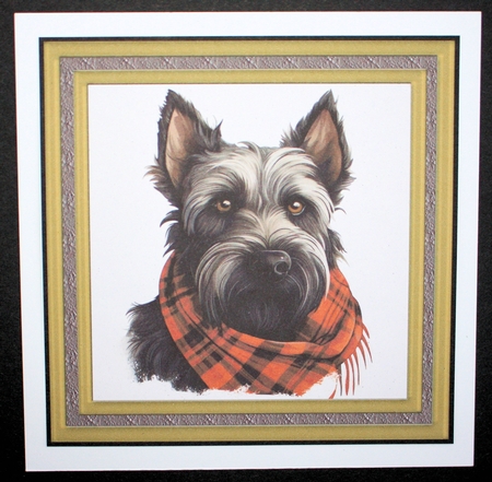 Tartan scarf Scottish terrier card front 6 by Marion Kimberley-Scott