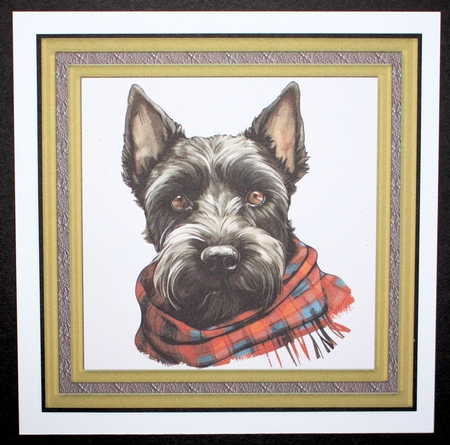 Tartan scarf Scottish terrier card front 7 by Marion Kimberley-Scott