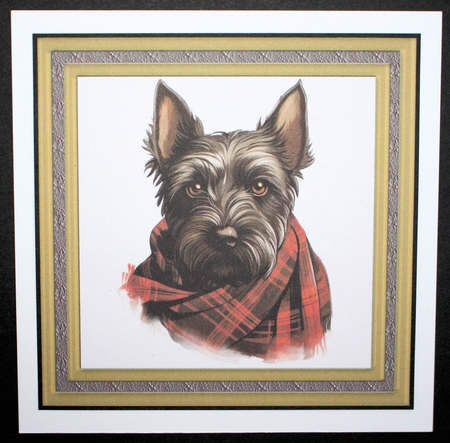 Tartan scarf Scottish terrier card front 8 by Marion Kimberley-Scott