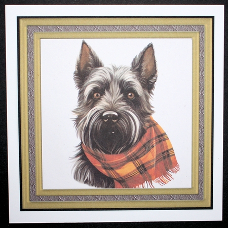 Tartan scarf Scottish terrier card front 9 by Marion Kimberley-Scott