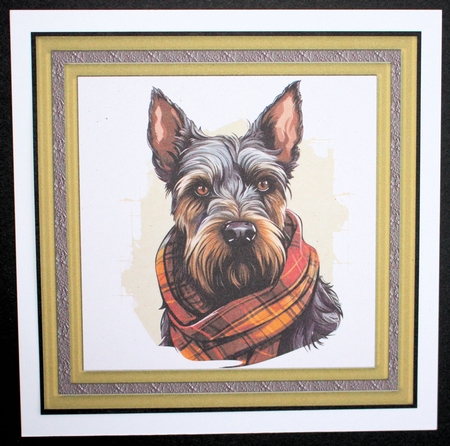 Tartan scarf Scottish terrier card front 10 by Marion Kimberley-Scott