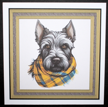 Tartan scarf Scottish terrier card front 12 by Marion Kimberley-Scott