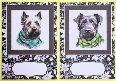 2 Tartan scarf Scottish terrier notelets 1 by Marion Kimberley-Scott