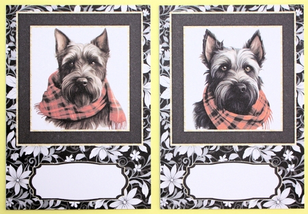2 Tartan scarf Scottish terrier notelets 3 by Marion Kimberley-Scott
