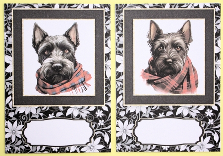 2 Tartan scarf Scottish terrier notelets 4 by Marion Kimberley-Scott