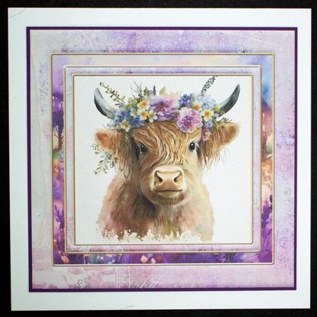 Purple floral Highland cow card front 2 by Marion Kimberley-Scott