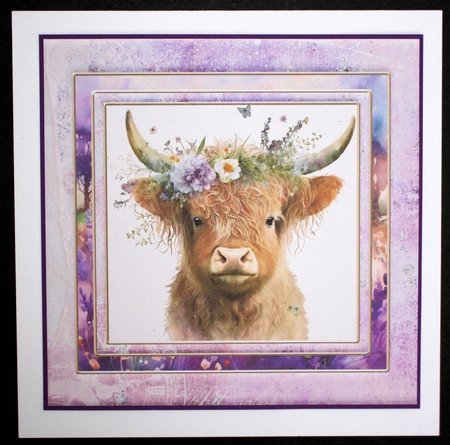 Purple floral Highland cow card front 5 by Marion Kimberley-Scott