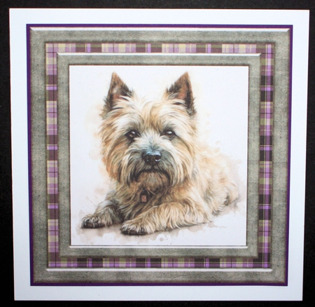 Cairn terrier card front1 by Marion Kimberley-Scott
