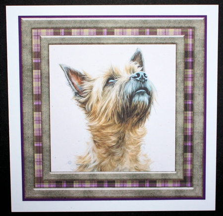 Cairn terrier card front 2 by Marion Kimberley-Scott
